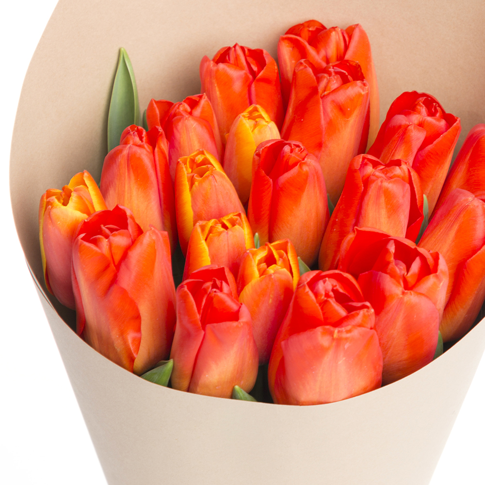 19 оранжевых тюльпанов
