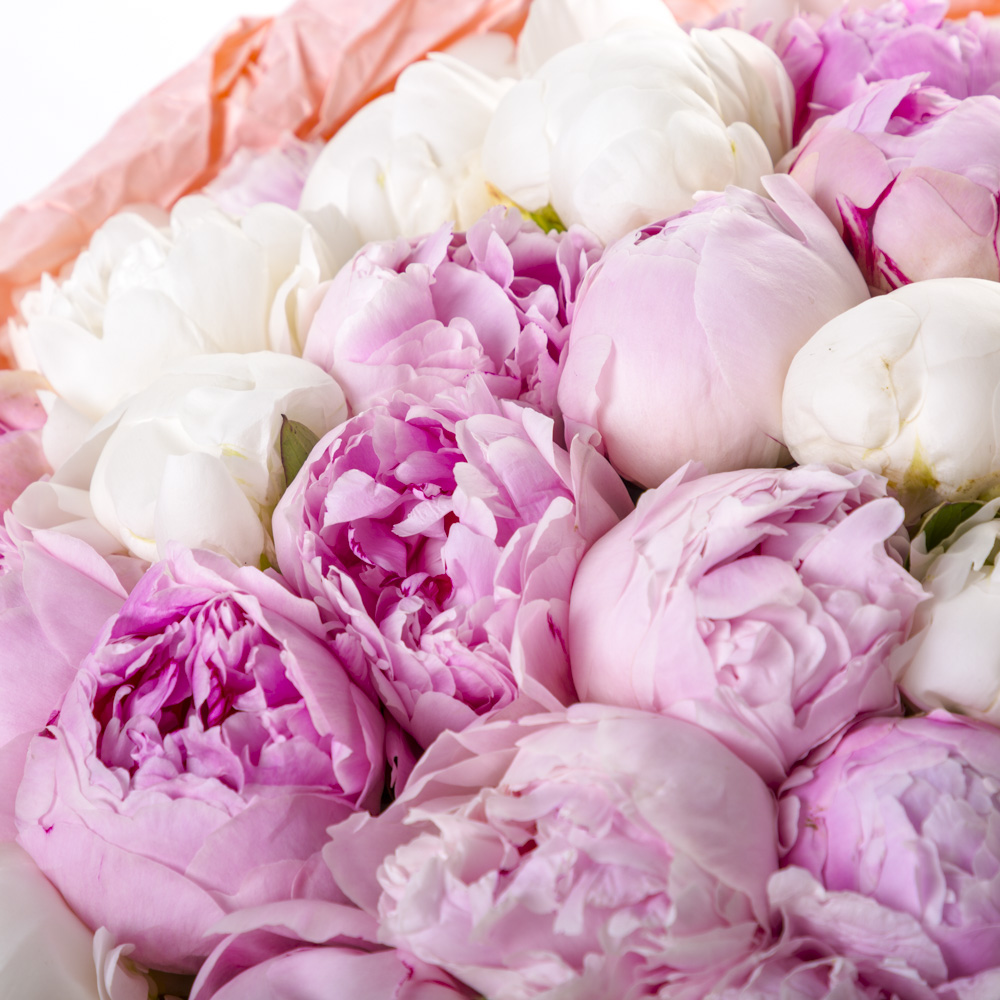 Букет из 51 разноцветного пиона