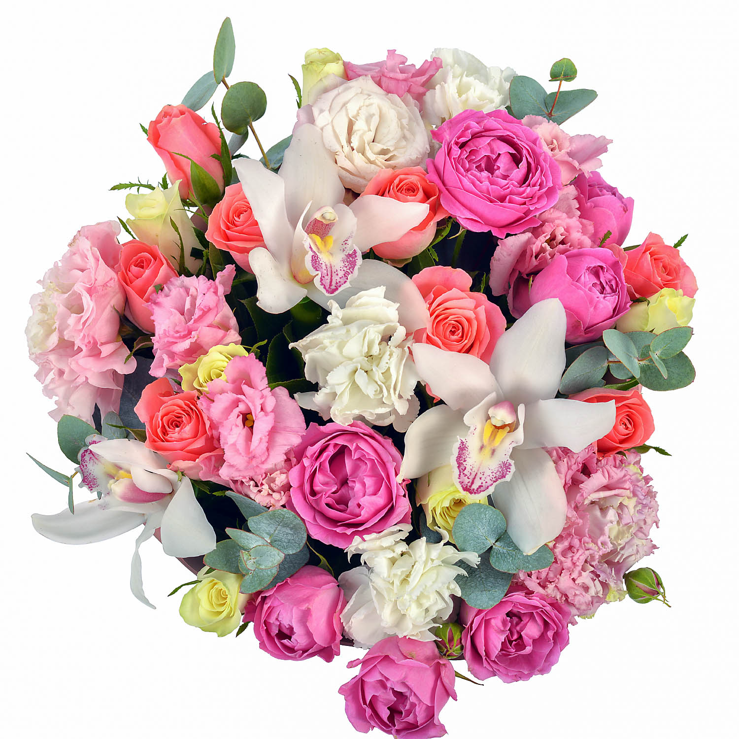 Весенний восторг