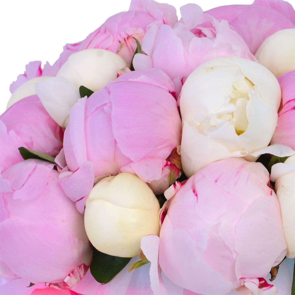 Букет из 19 разноцветных пионов в голубой шляпной коробке