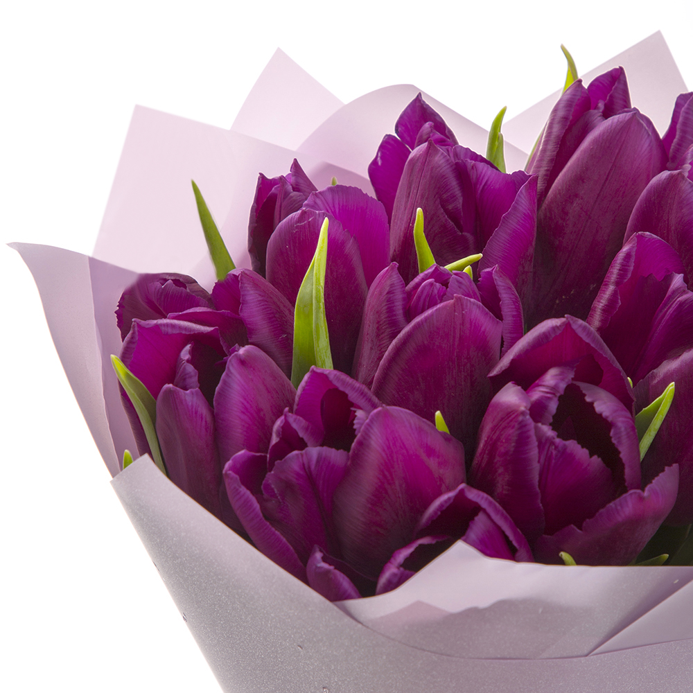 11 сиреневых тюльпанов