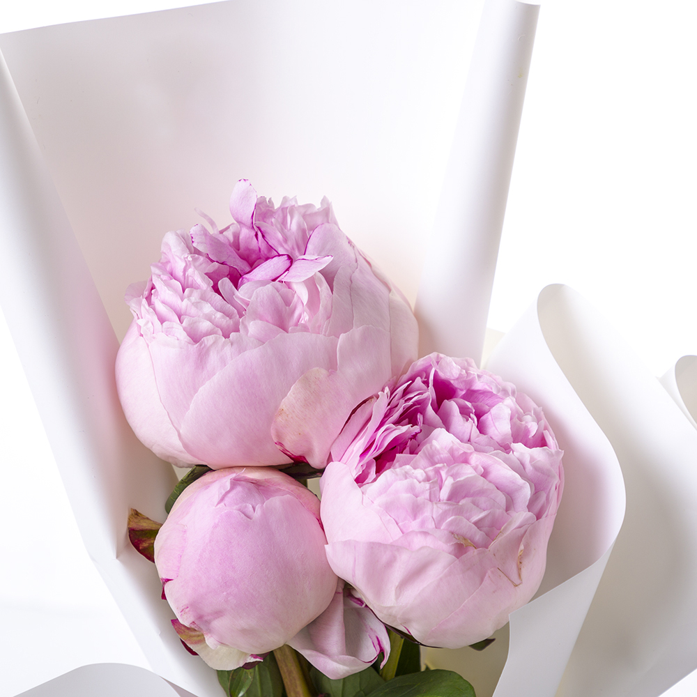 Букет из 3 розовых пионов