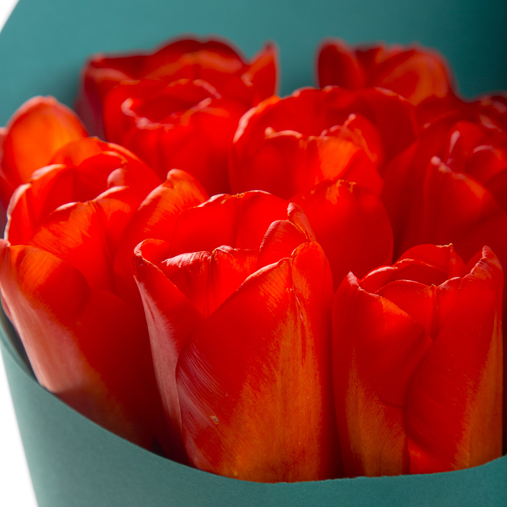 11 оранжевых тюльпанов