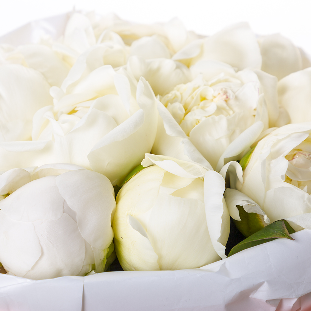 Букет из 9 белых пионов