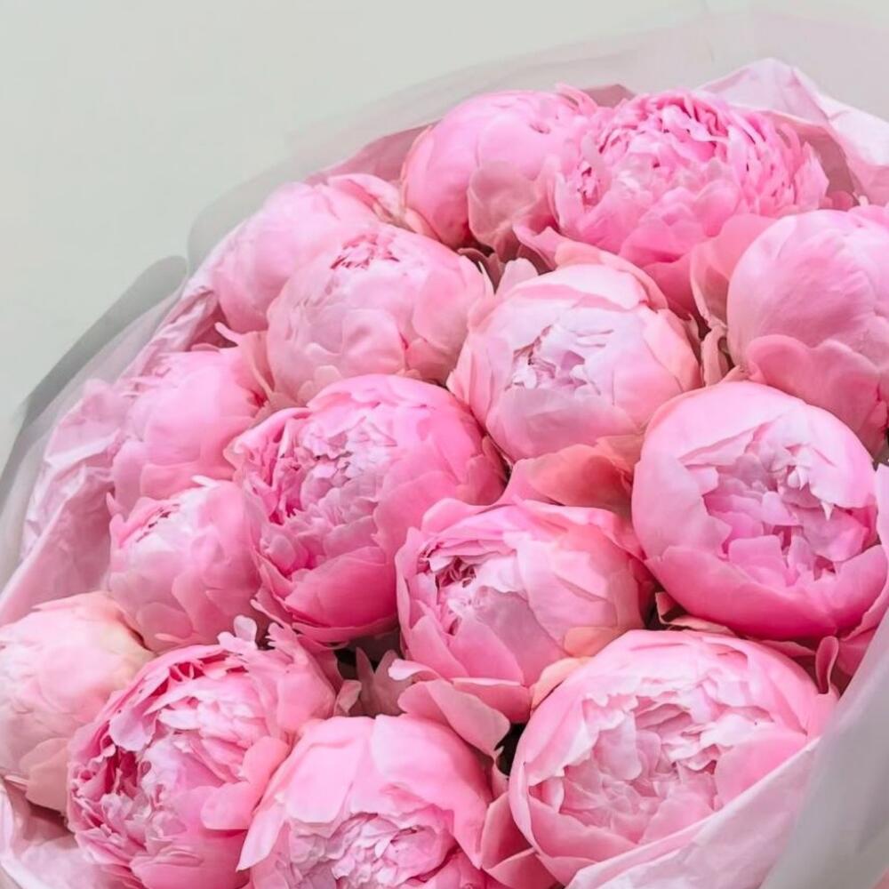 Букет из 17 нежно-розовых пионов