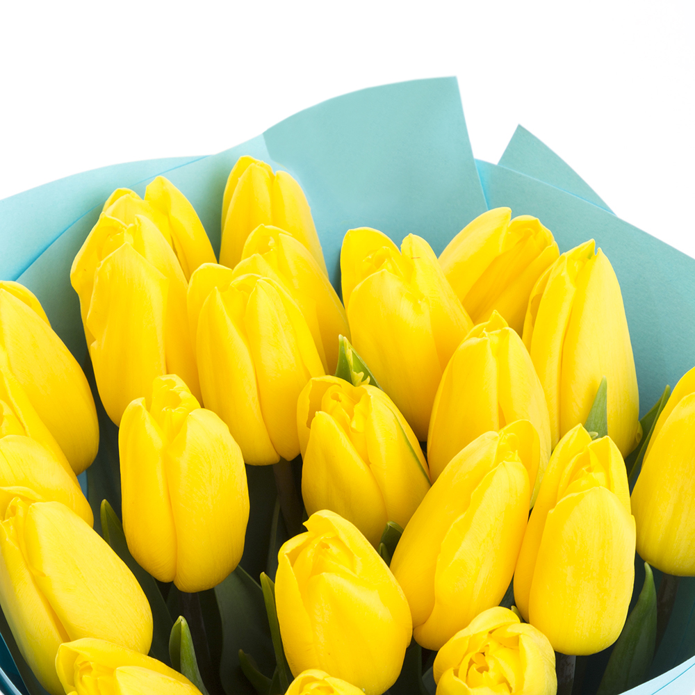 21 желтый тюльпан