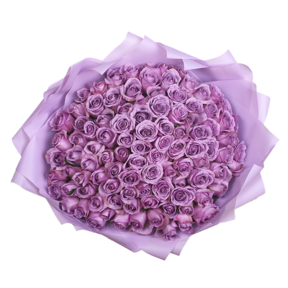 101 cиреневая роза