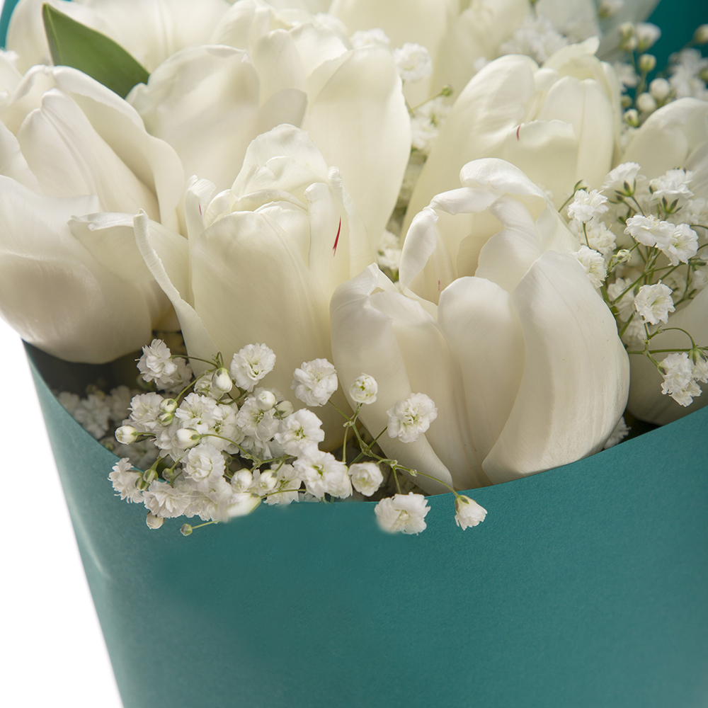 11 белых тюльпанов