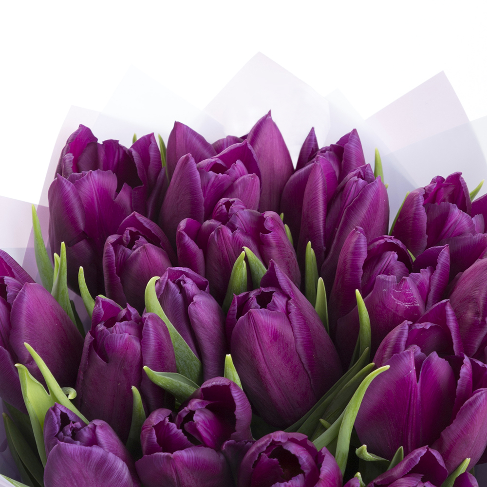 19 сиреневых тюльпанов