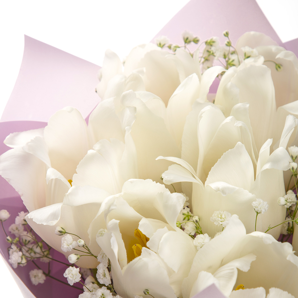 7 белых тюльпанов