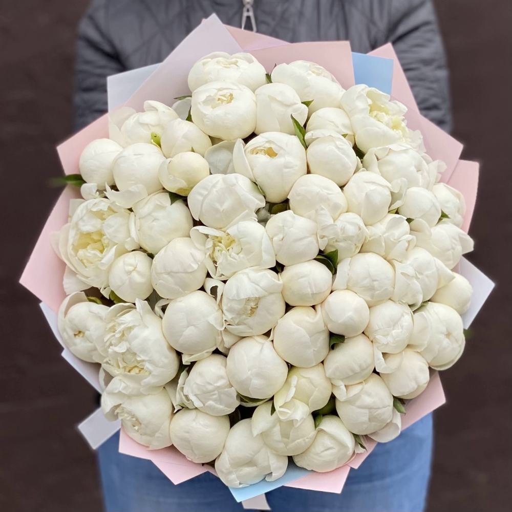 Букет из 51 белого пиона