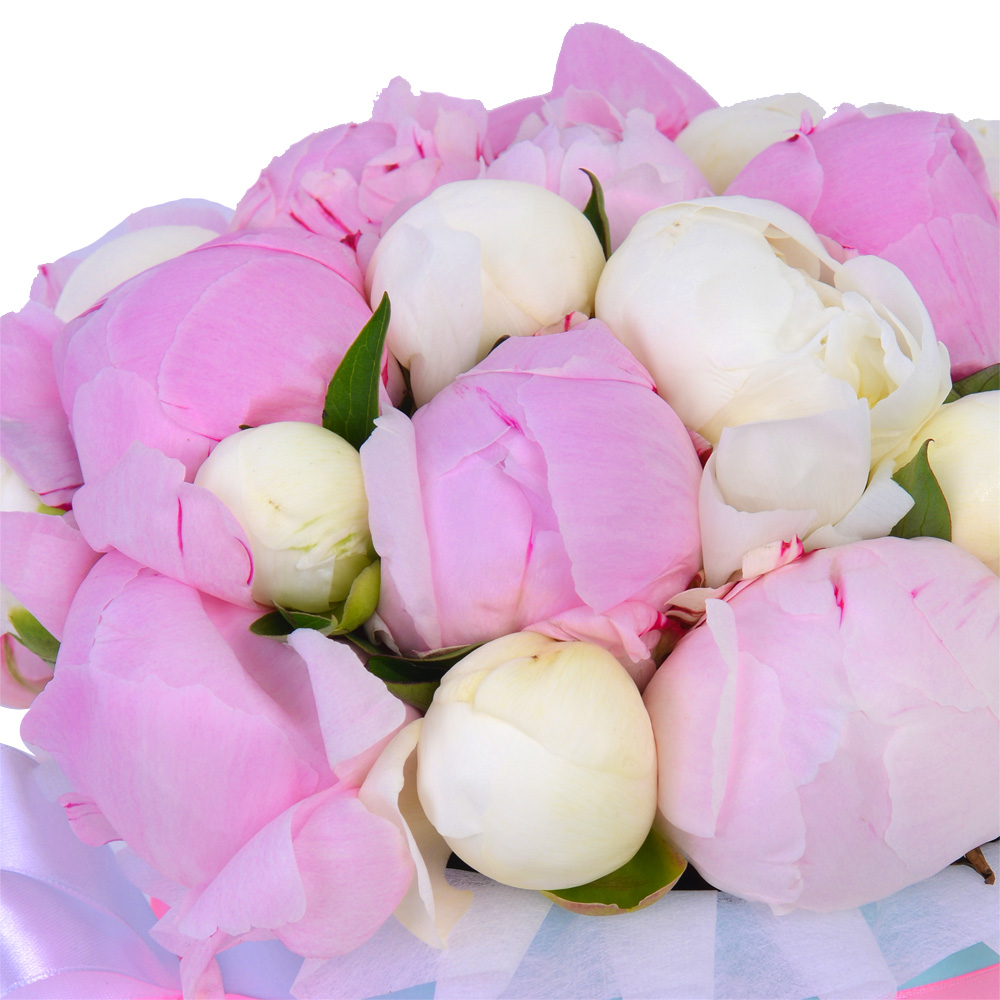 Букет из 25 разноцветных пионов в голубой шляпной коробке