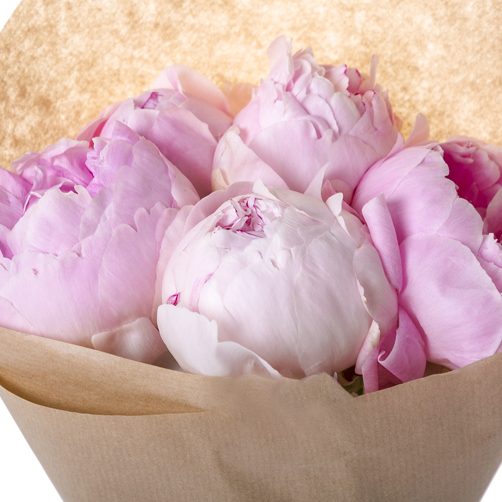 Букет из 5 розовых пионов