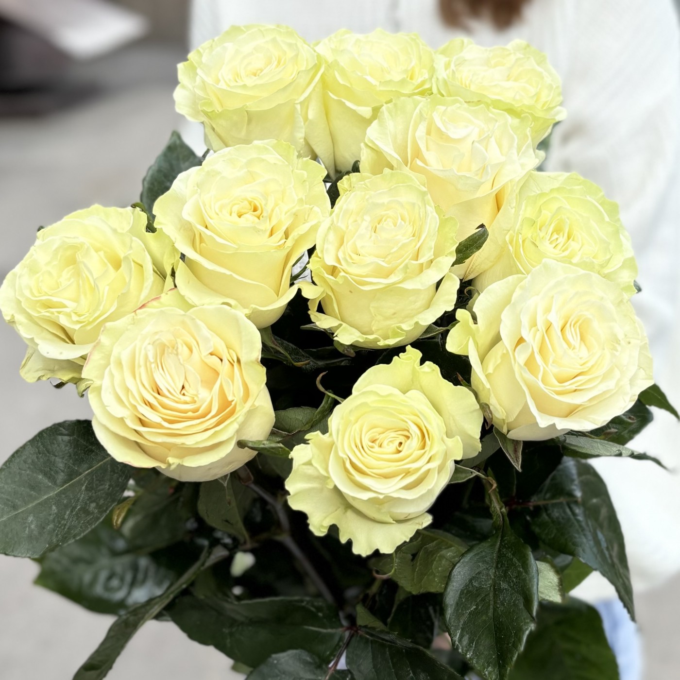 11 белых роз Эквадор 70 см