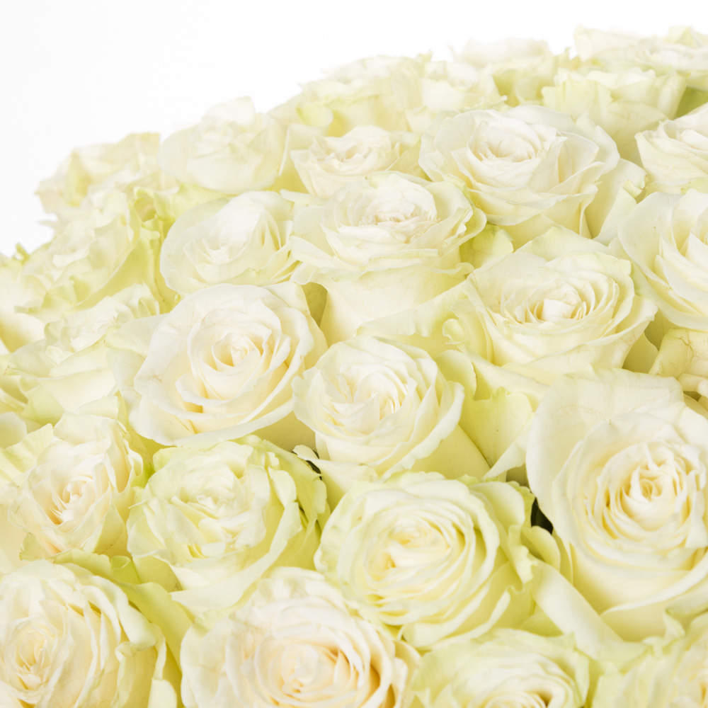 101 белая роза Premium 70 см.