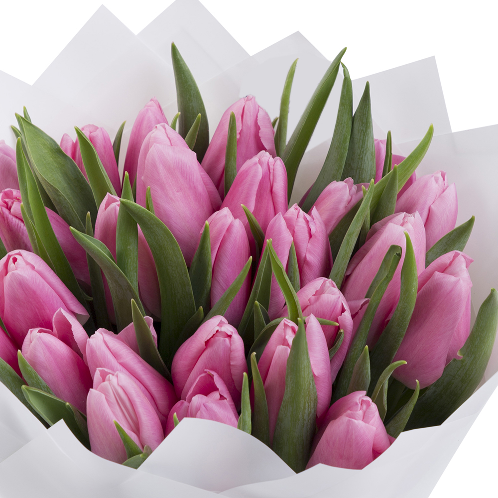 25 розовых тюльпанов