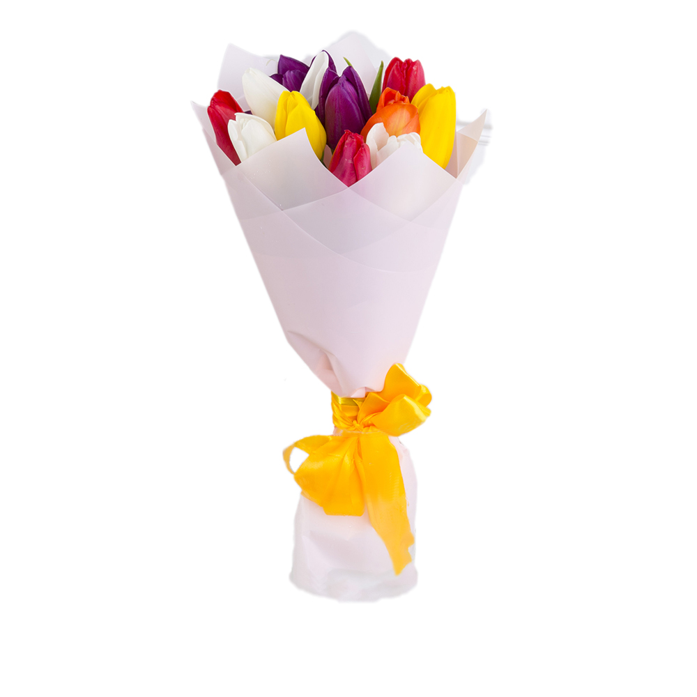 11 разноцветных тюльпанов