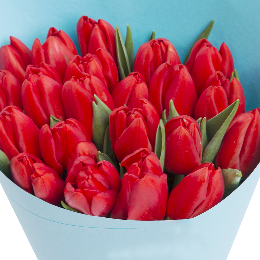 Букет из 21 красного тюльпана