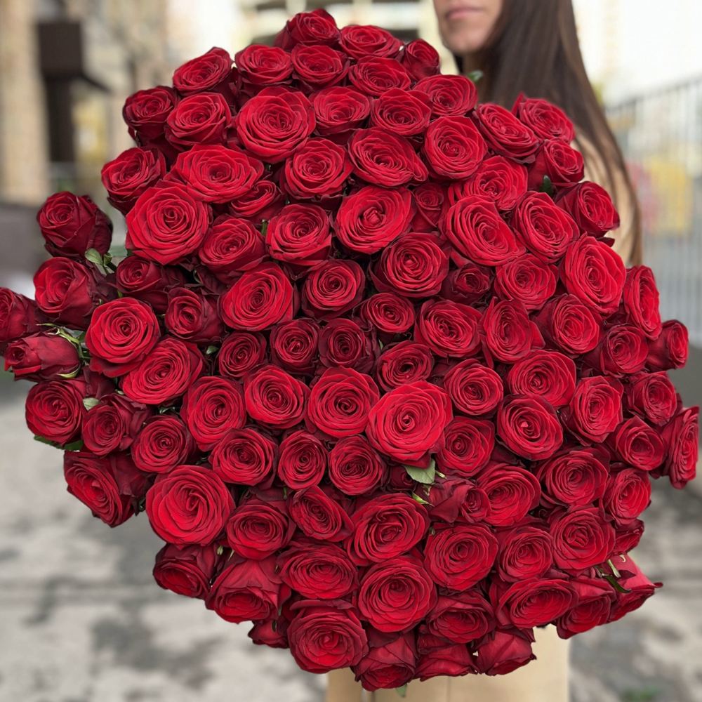 101 красная роза Premium 80 см.