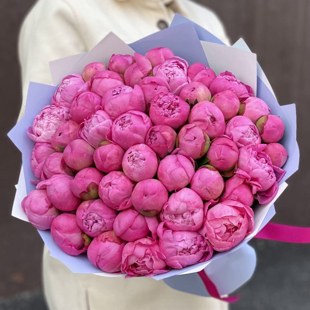 Букет из 51 розового пиона