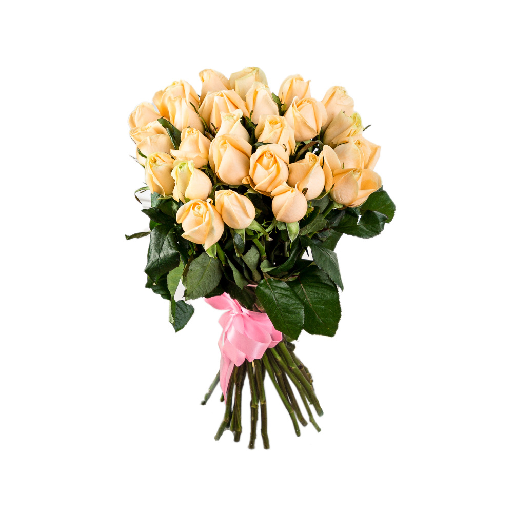 25 кремовых роз 60 см