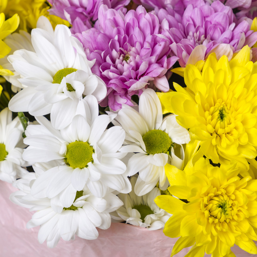 Букет из 9 разноцветных хризантем