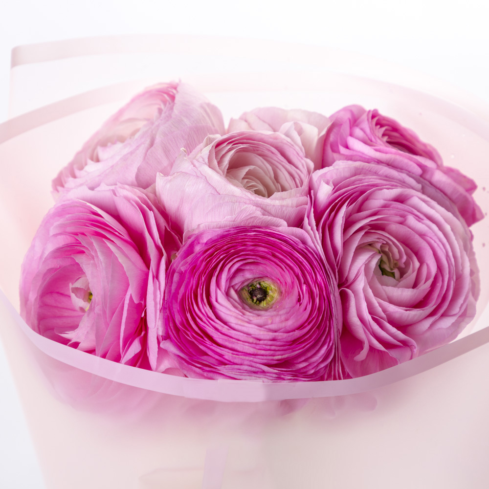 Букет из 7 розовых ранункулюсов