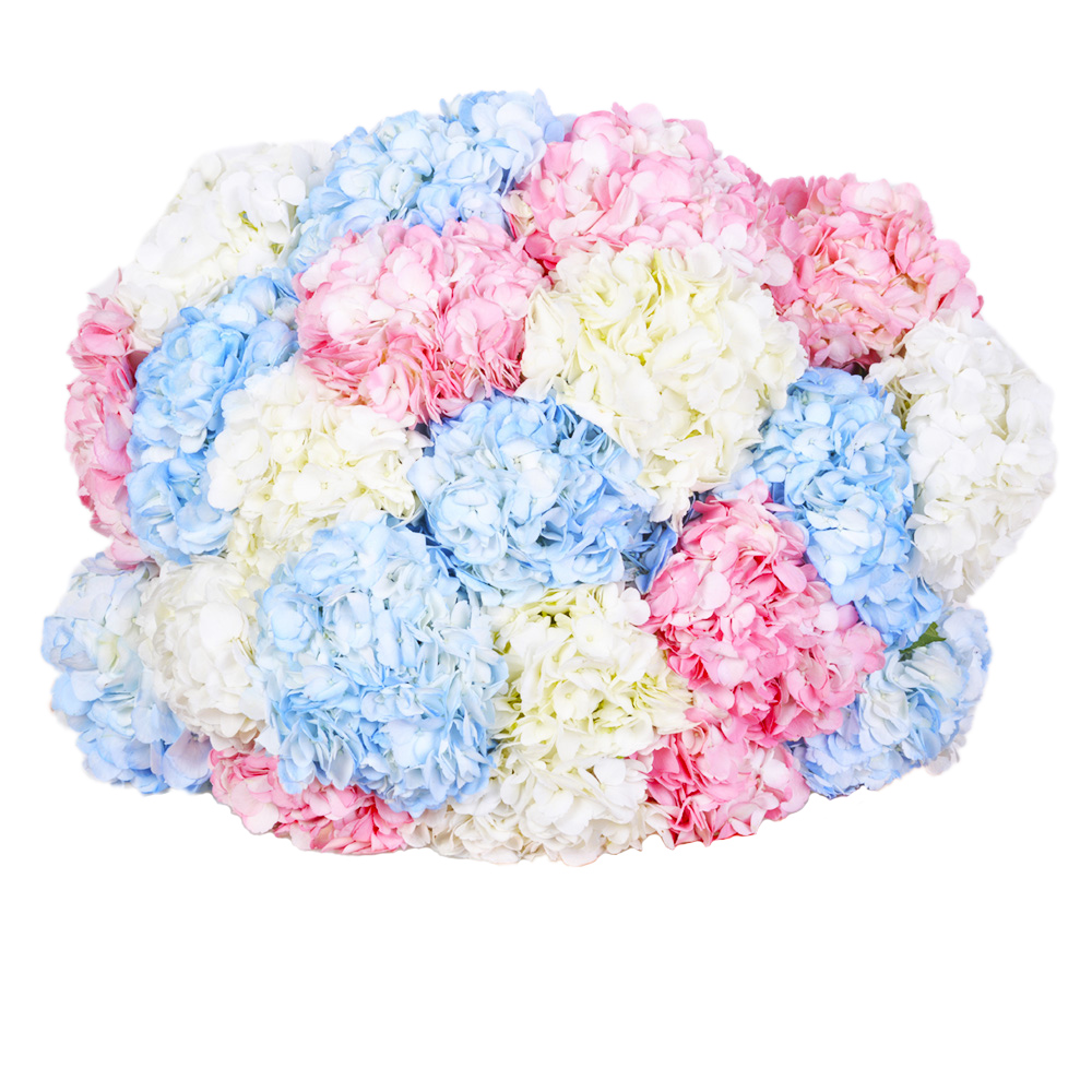 Букет из 21 Гортензий