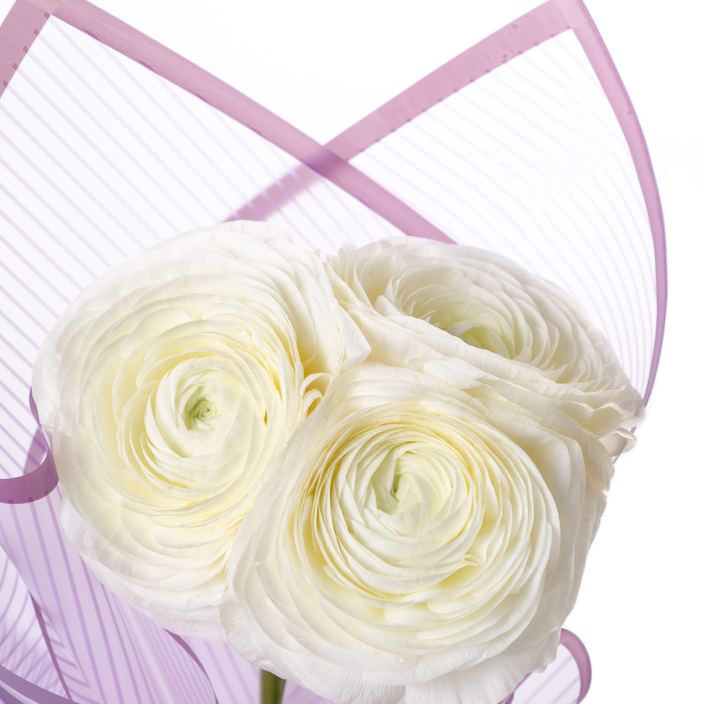 Букет из 3 белых ранункулюсов