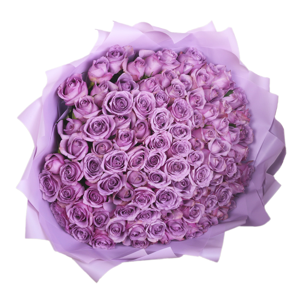 101 cиреневая роза