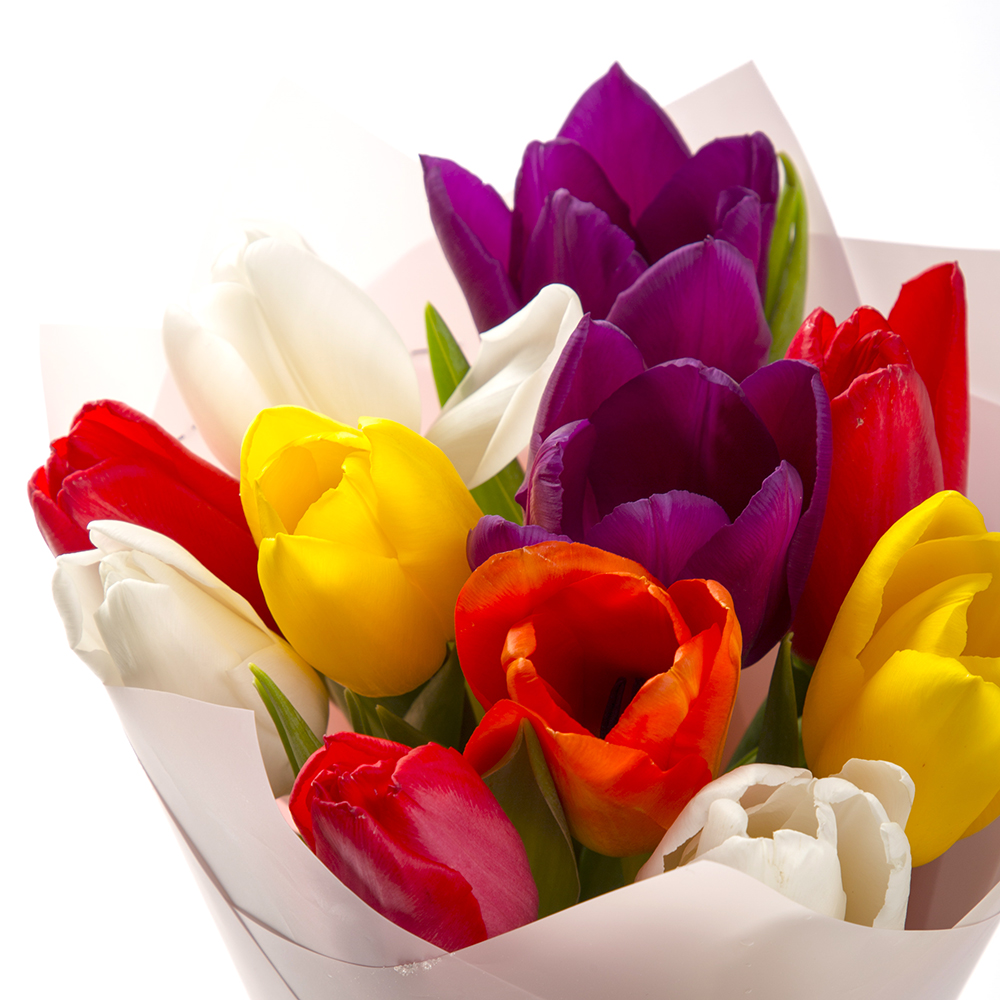 11 разноцветных тюльпанов