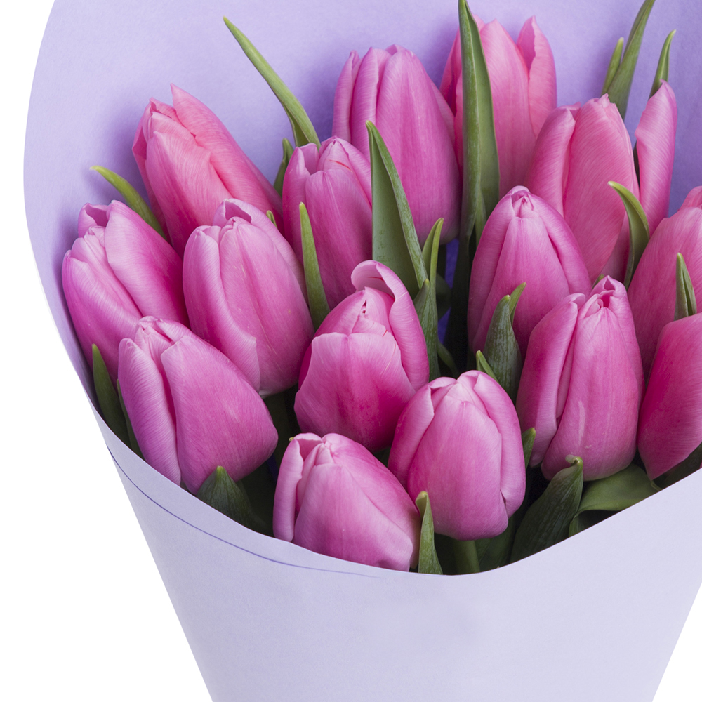 15 фиолетовых тюльпанов