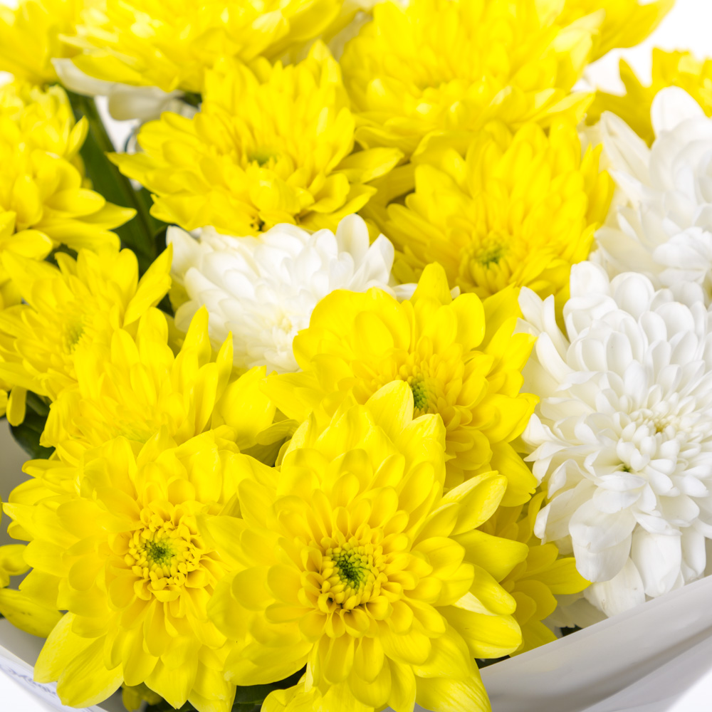 Букет из 5 разноцветных хризантем