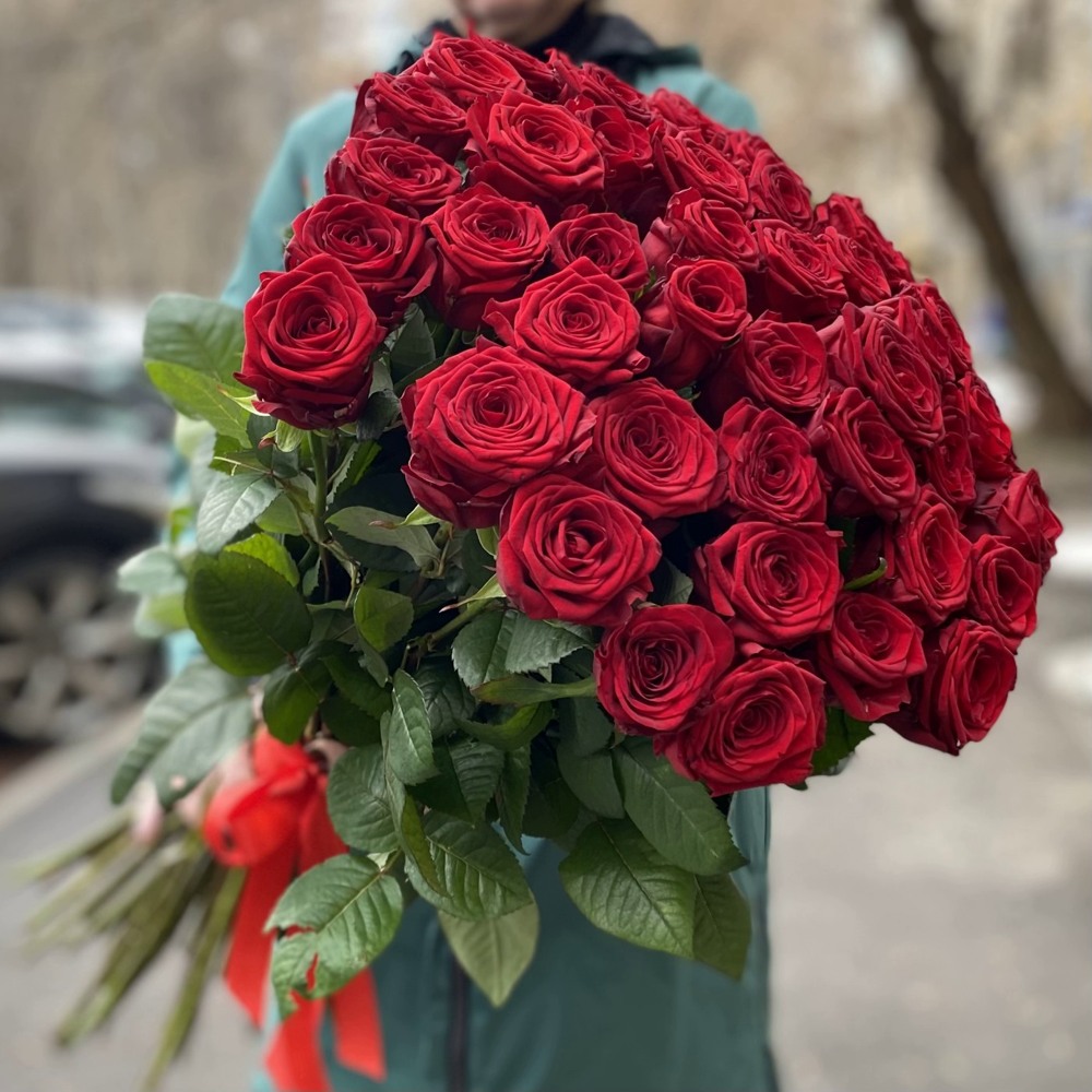 51 красная роза Premium 70 см