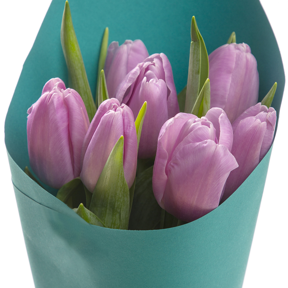 7 фиолетовых тюльпанов