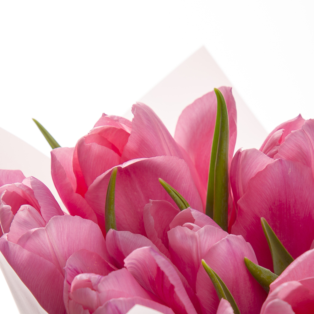 7 розовых тюльпанов