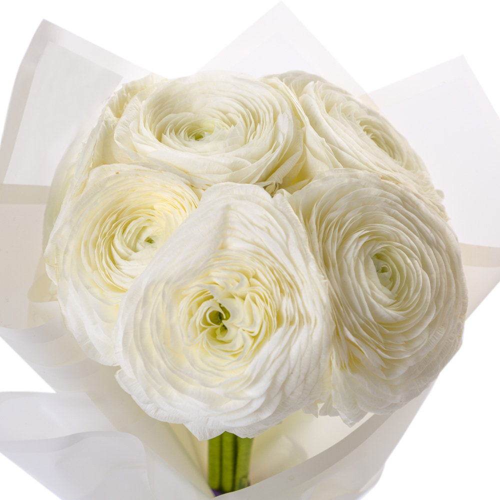 Букет из 7 белых ранункулюсов