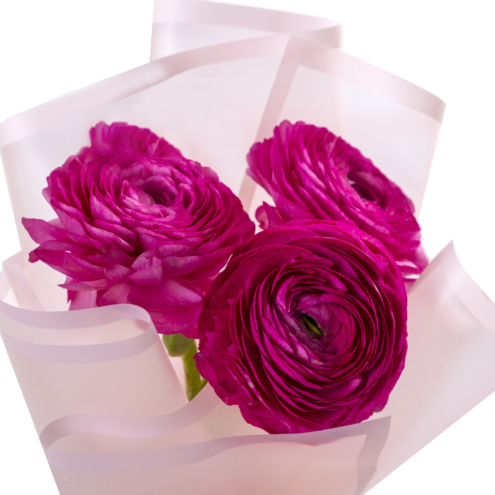 Букет из 3 розовых ранункулюсов