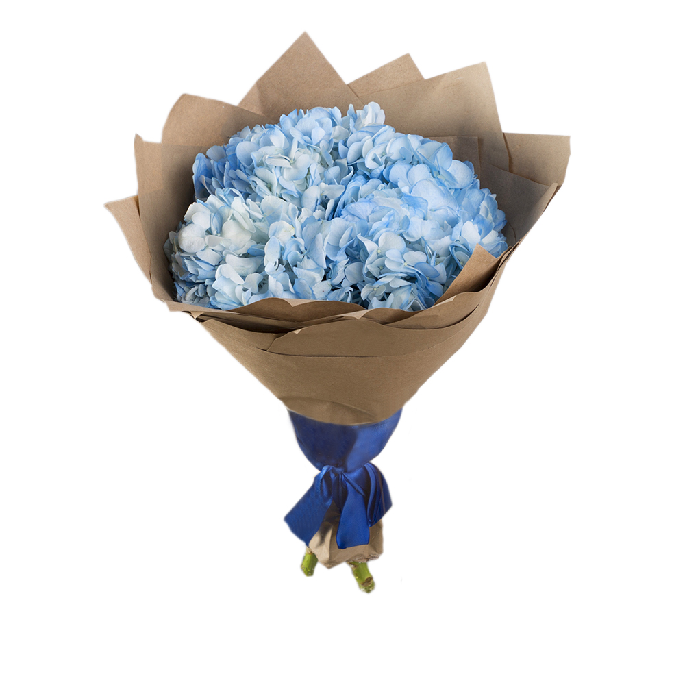 Букет из 3 голубых гортензий