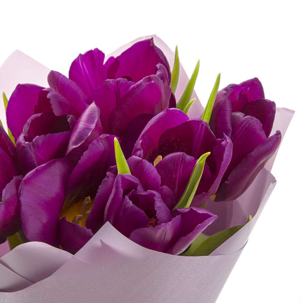 7 сиреневых тюльпанов