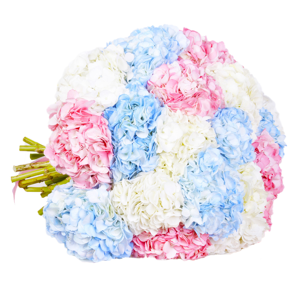 Букет из 21 Гортензий