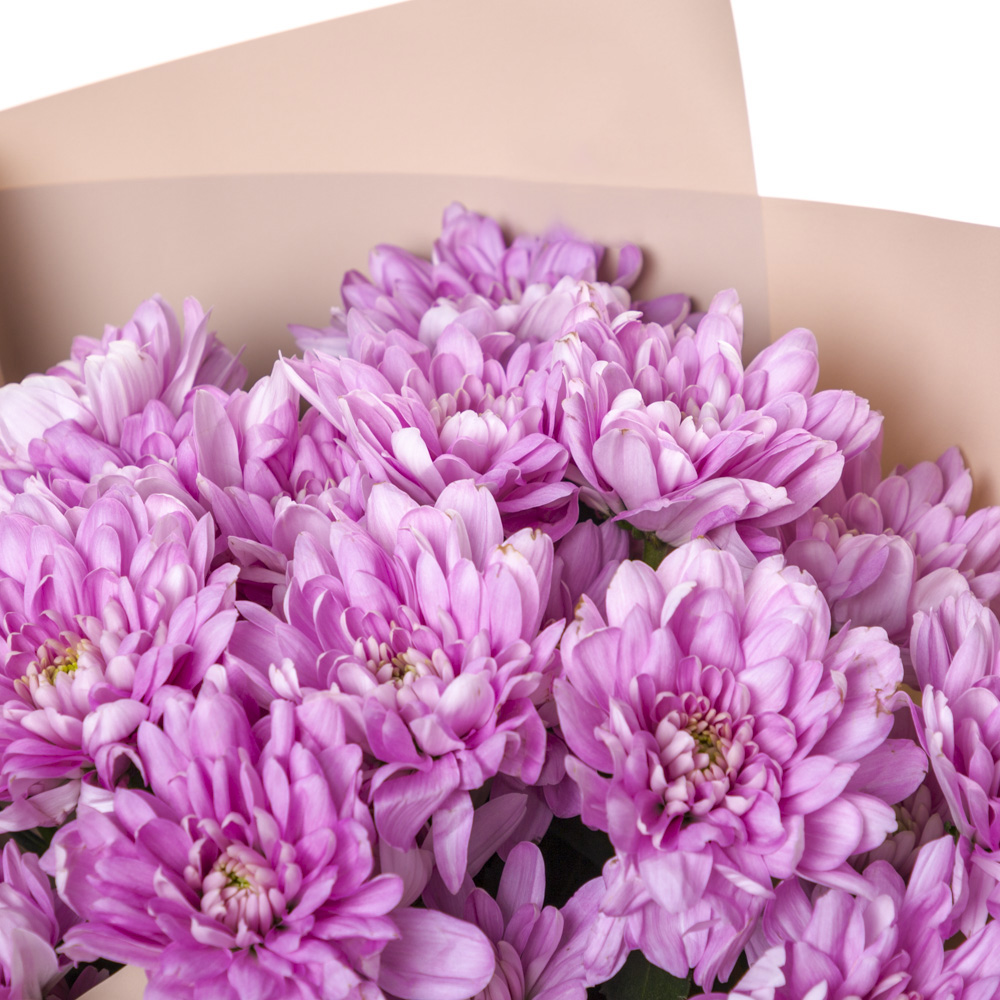 Букет из 3 сиреневых хризантем