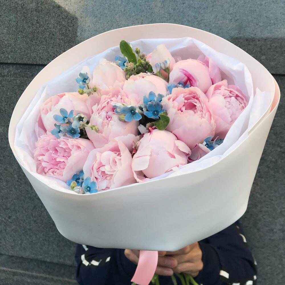 Букет из 11 нежно-розовых пионов