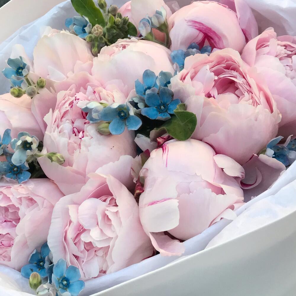 Букет из 11 нежно-розовых пионов