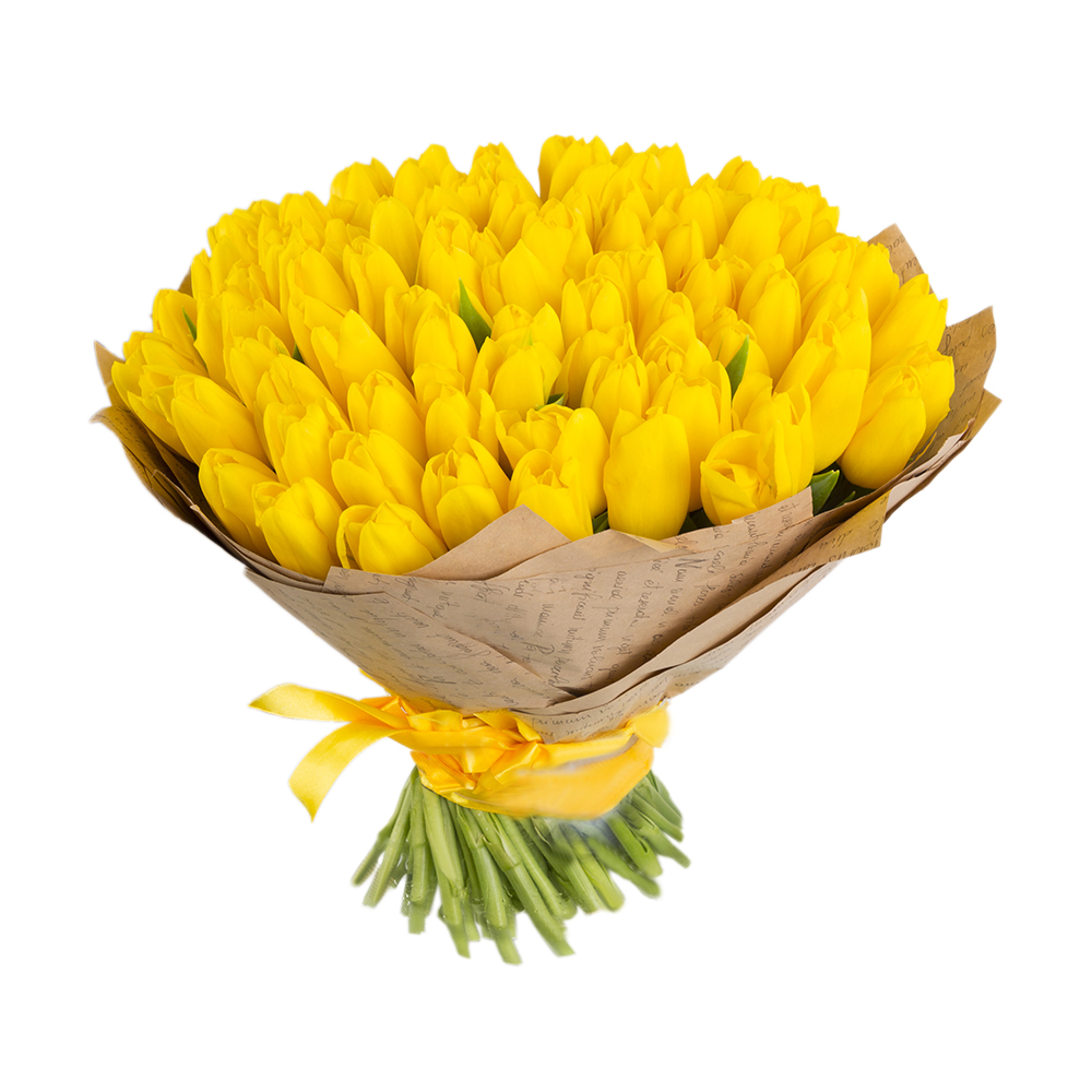 101 желтый тюльпан