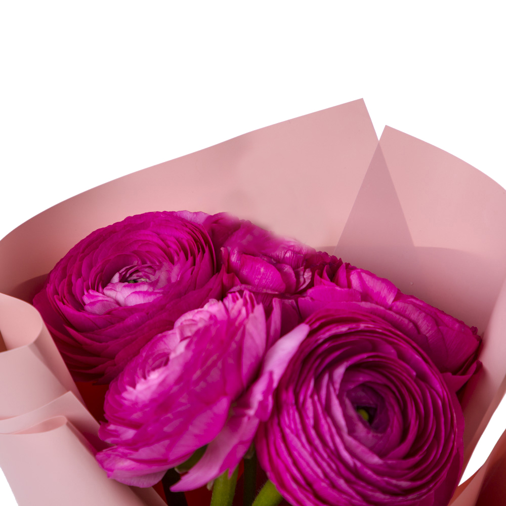 Букет из 5 малиновых ранункулюсов