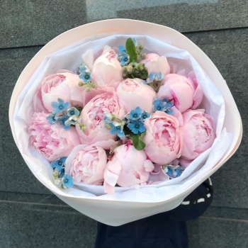 Букет из 11 нежно-розовых пионов