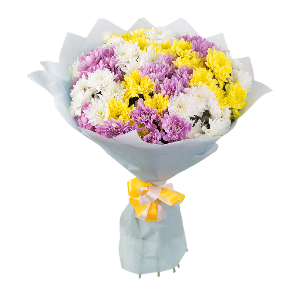 Букет из 15 разноцветных хризантем