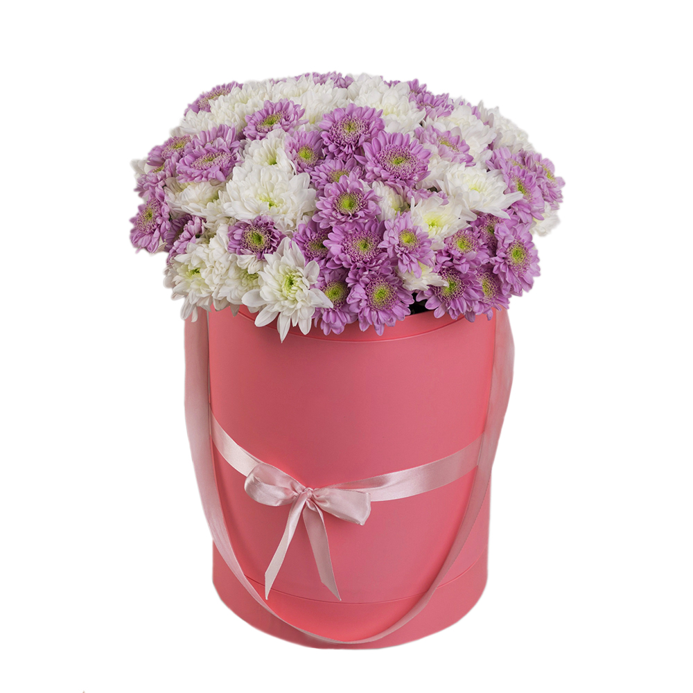 25 хризантем в шляпной коробке