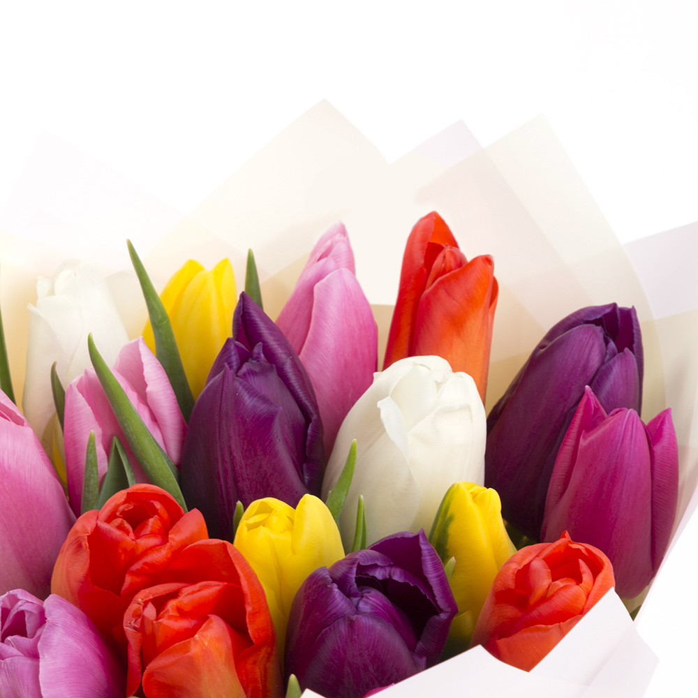 19 разноцветных тюльпанов